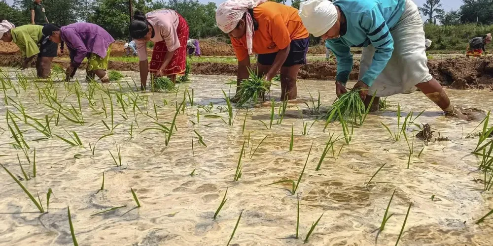 Weak monsoon start clouds India's Kharif outlook