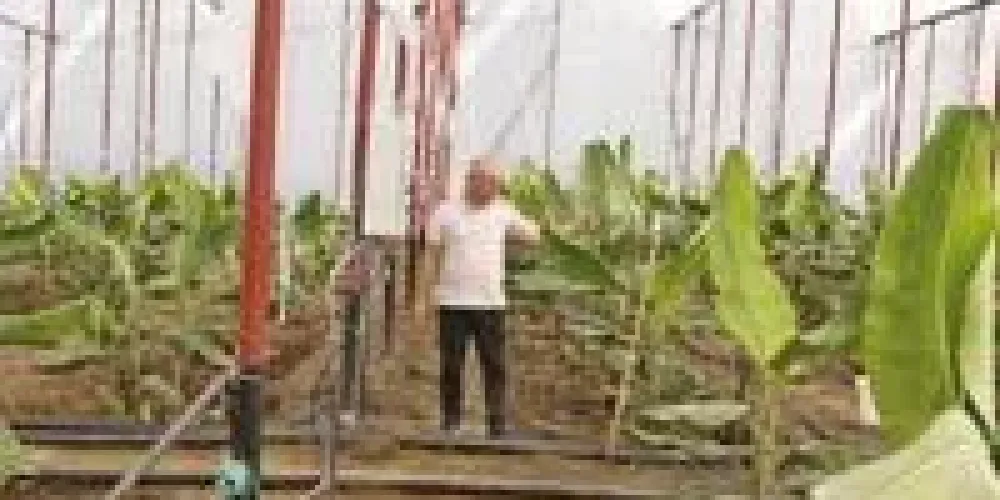 Alanya fruit growers turn to smart greenhouses as drought pressure reshapes production