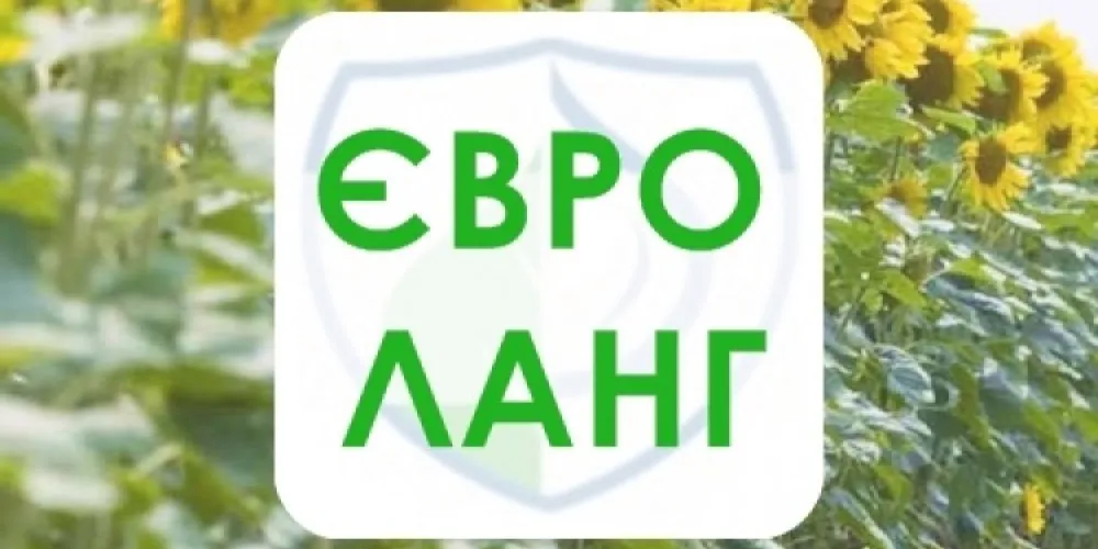 Что выбрать Евро Ланг или Евро Ленд?