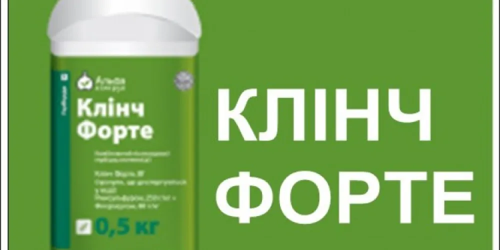 Стоит ли применять гербицид Клинч Форте на кукурузе?