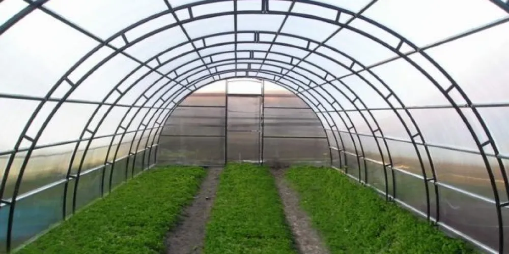 Industrial Greenhouses: Construction Features and Range of Structures