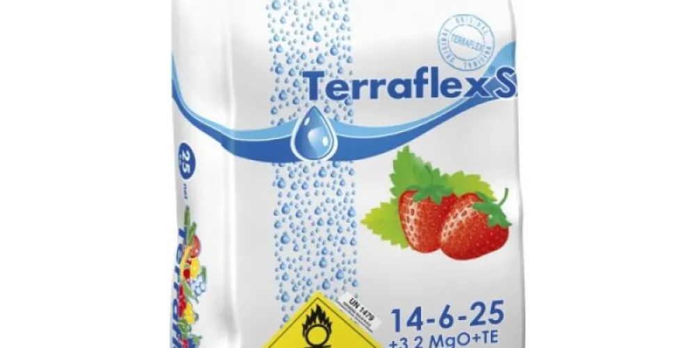 Main Types of Fertilizers for Garden Plants