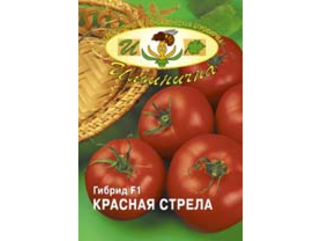 Томаты красная стрела фото. Томат красная стрела. Сорт и гибриды томата доклад красная стрела. Помидоры Art.