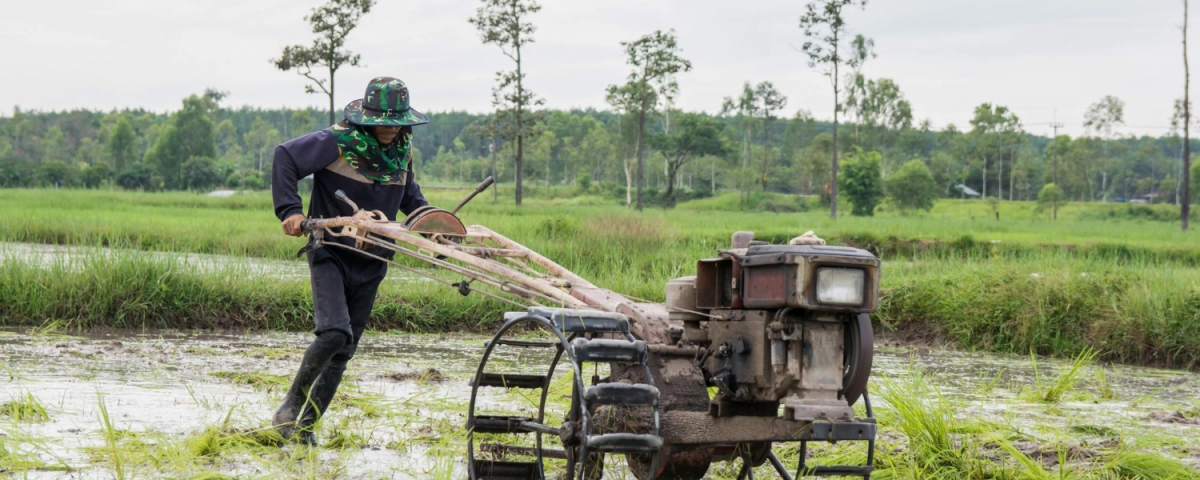 фермерское поле огород частный дом сельское хозяйство капельное орошение