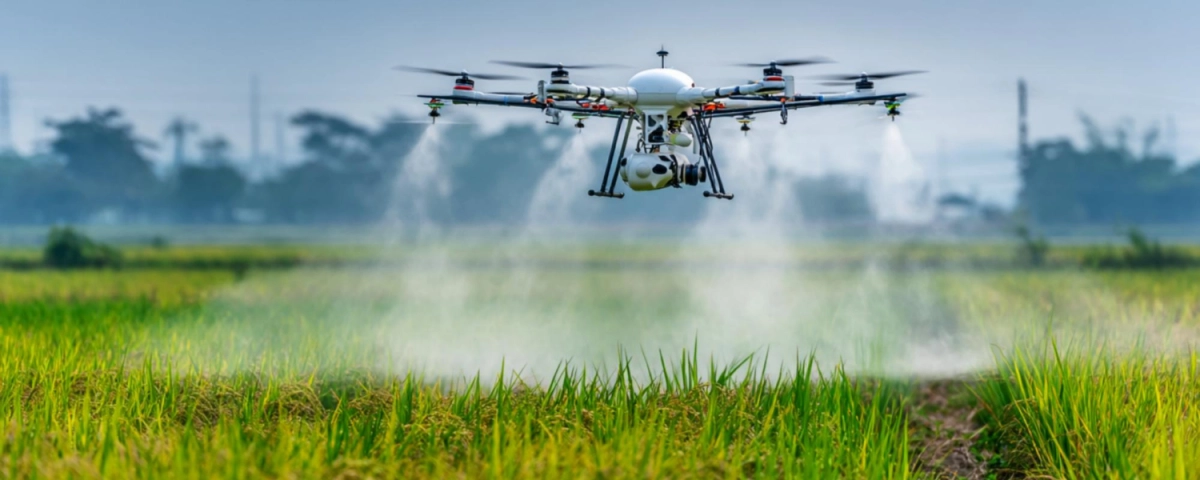 Как агрохолдинг LANDEX AGRO возрождает земли Харьковщины после деоккупации