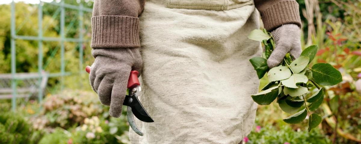 Какие режимы стирки удобны для одежды после работы с землей, рассадой и удобрениями