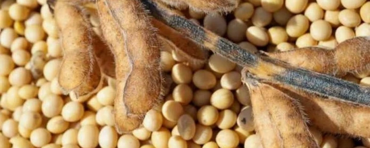 69d7728c7453f.webp?zc=1