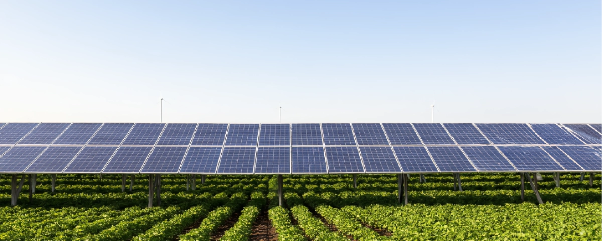 Развитие агровольтаики в Украине