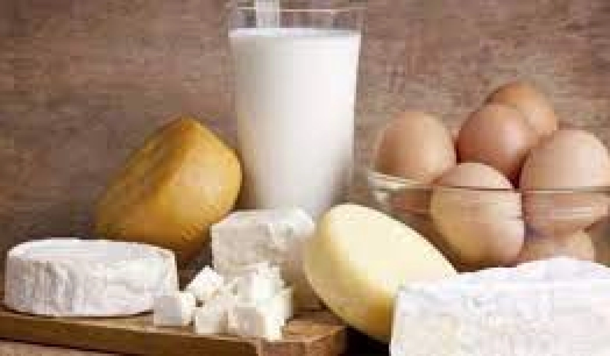 Сертификация молока и молочной продукции