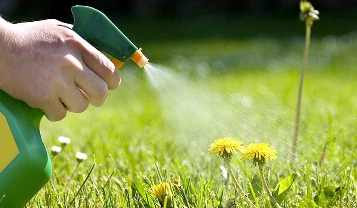 Гербициды: эффективное средство для борьбы с сорняками