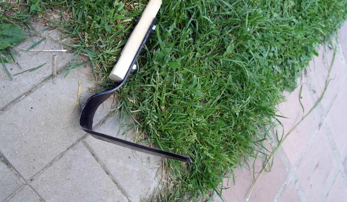 Полезные советы для тех, кто решил заняться органическим земледелием