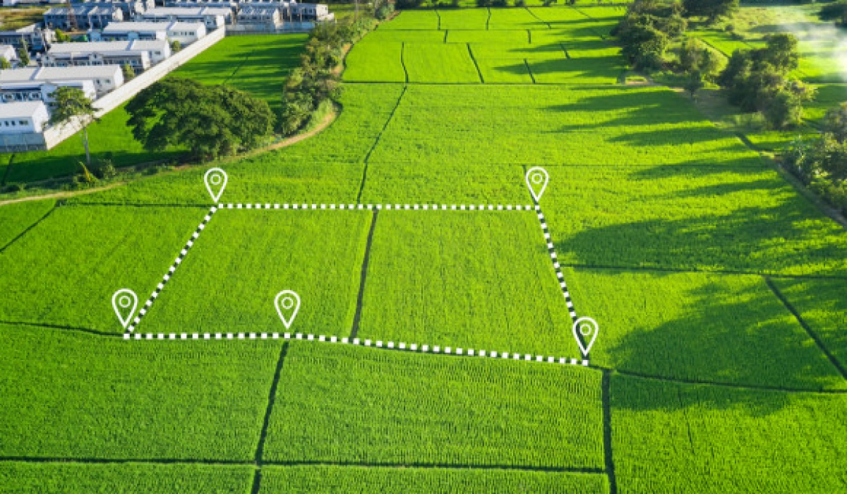 Как при помощи аукционов без проблем взять в аренду сельскохозяйственную землю для развития своего предприяти