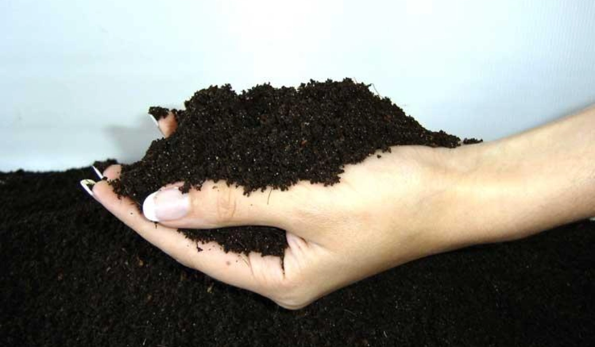 Выбор и применение субстратов для растений