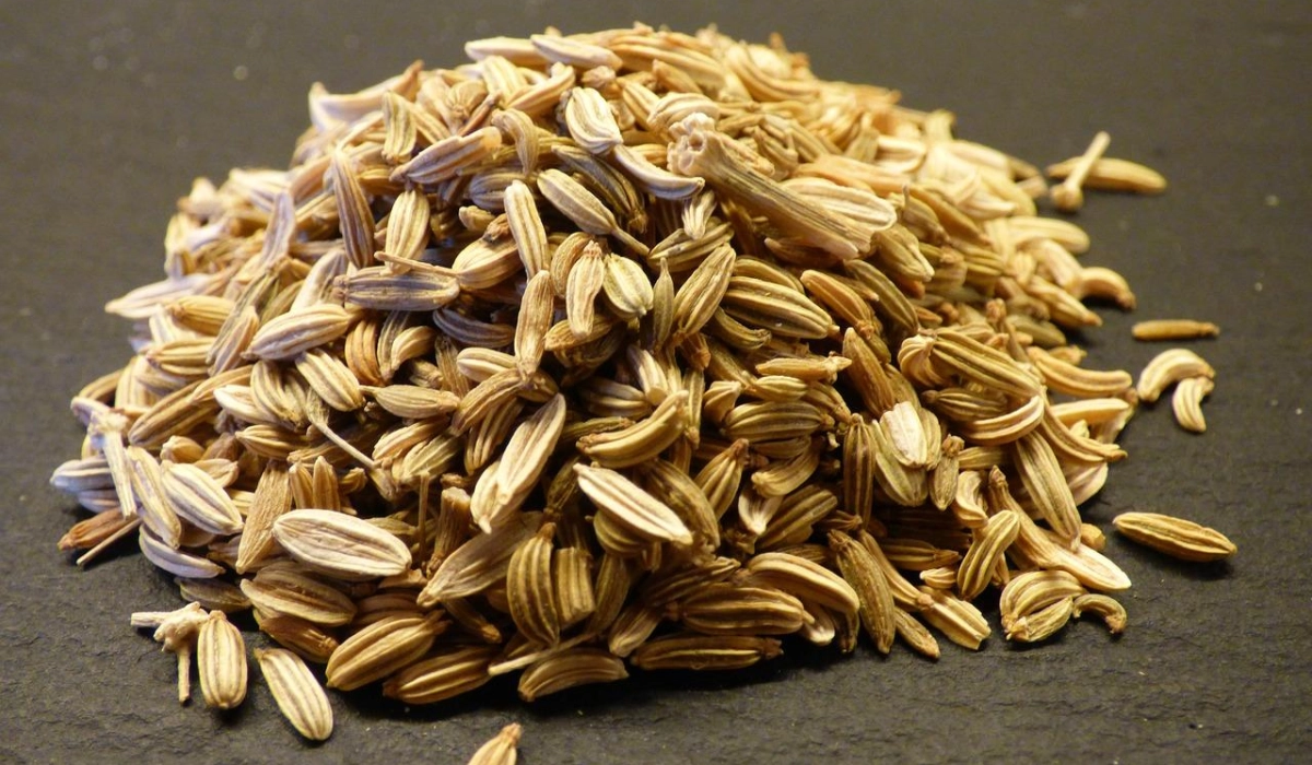 Использование протравителей семян: защита урожая без риска 