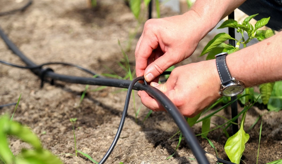 Как выбрать систему капельного полива для вашего участка
