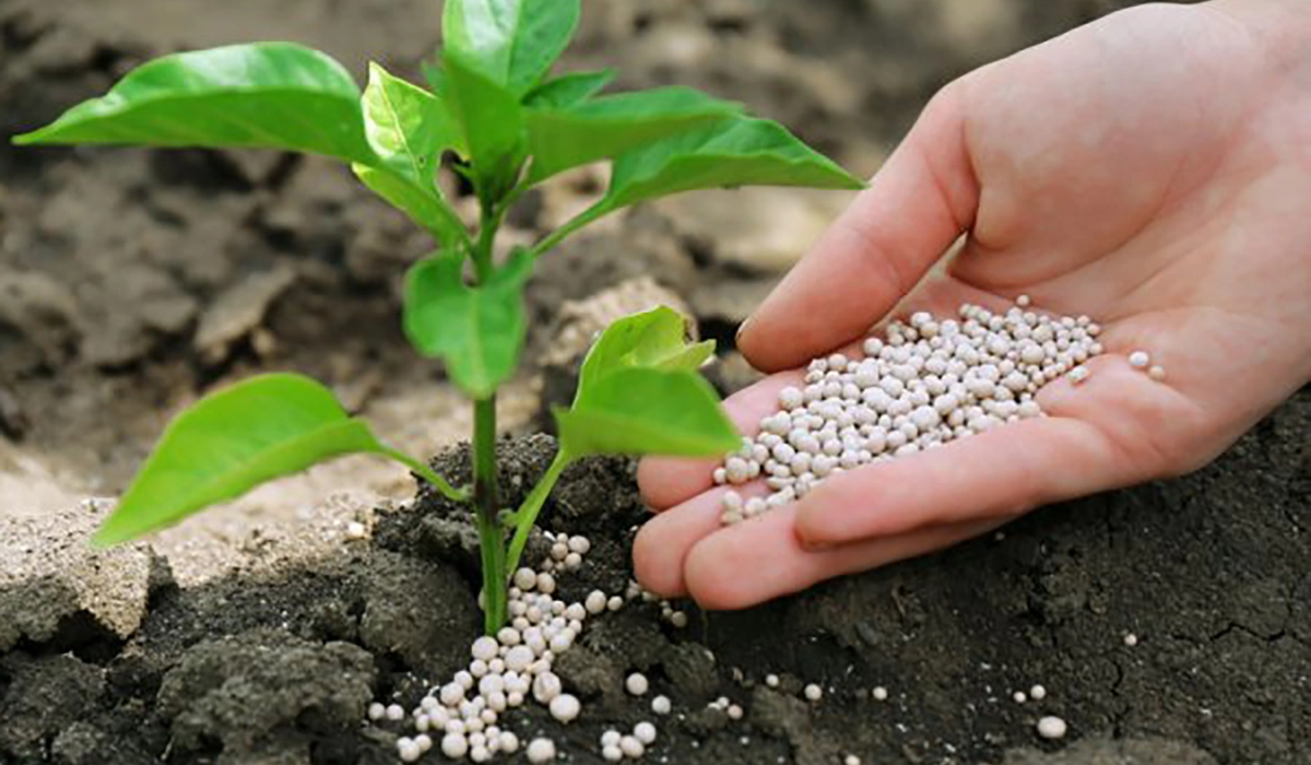 Вибір між органічними, мінеральними та органо-мінеральними добривами