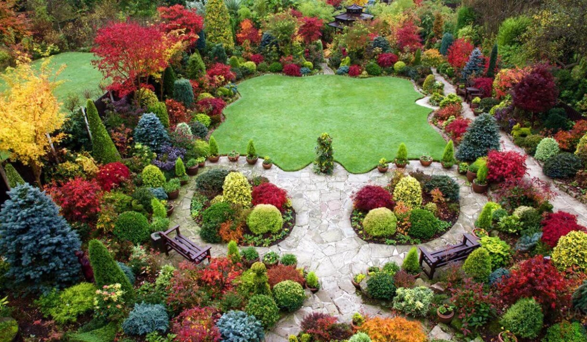 Догляд за декоративними рослинами протягом усього року.