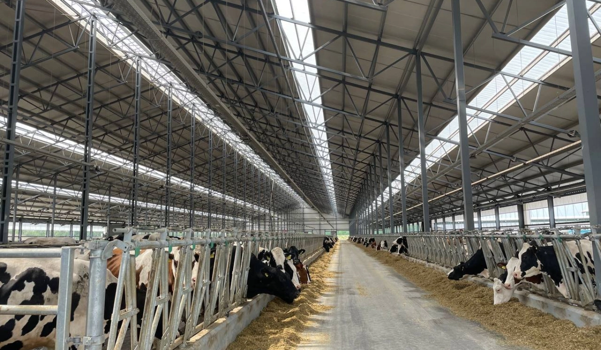 Світлопрозорі лінії з полікарбонату "Suntuf" у покрівлі: природне освітлення та захист від перегріву