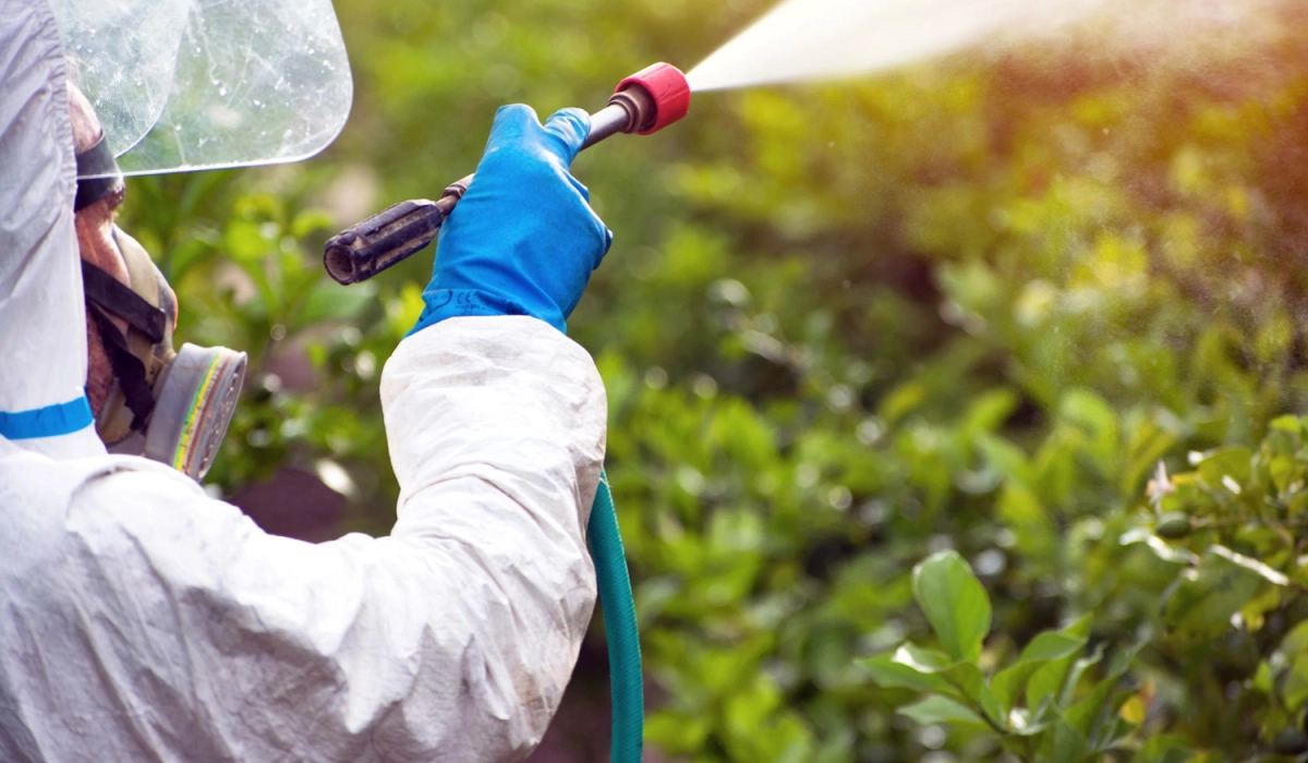 Системные фунгициды нового поколения: как работают комбинированные препараты