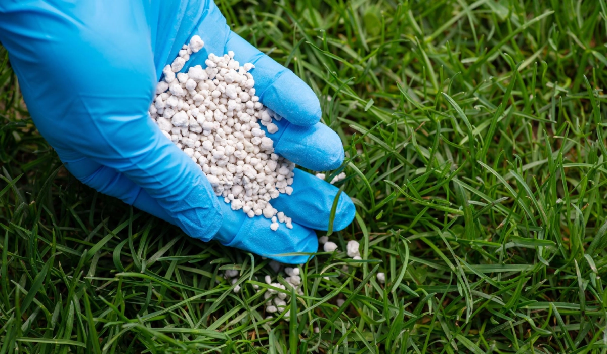 Весна, літо, осінь: яке добриво для газону обрати на кожен сезон