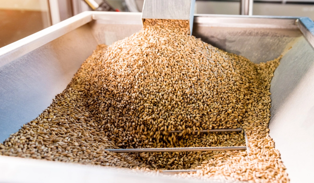 Топ 5 причин обрати зерносушарки Strahl для агробізнесу