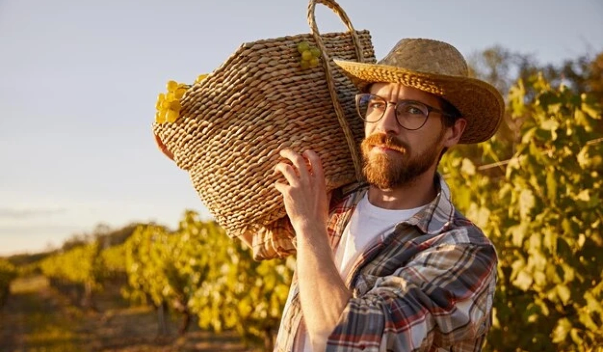 Защита спины и коленей агрономов