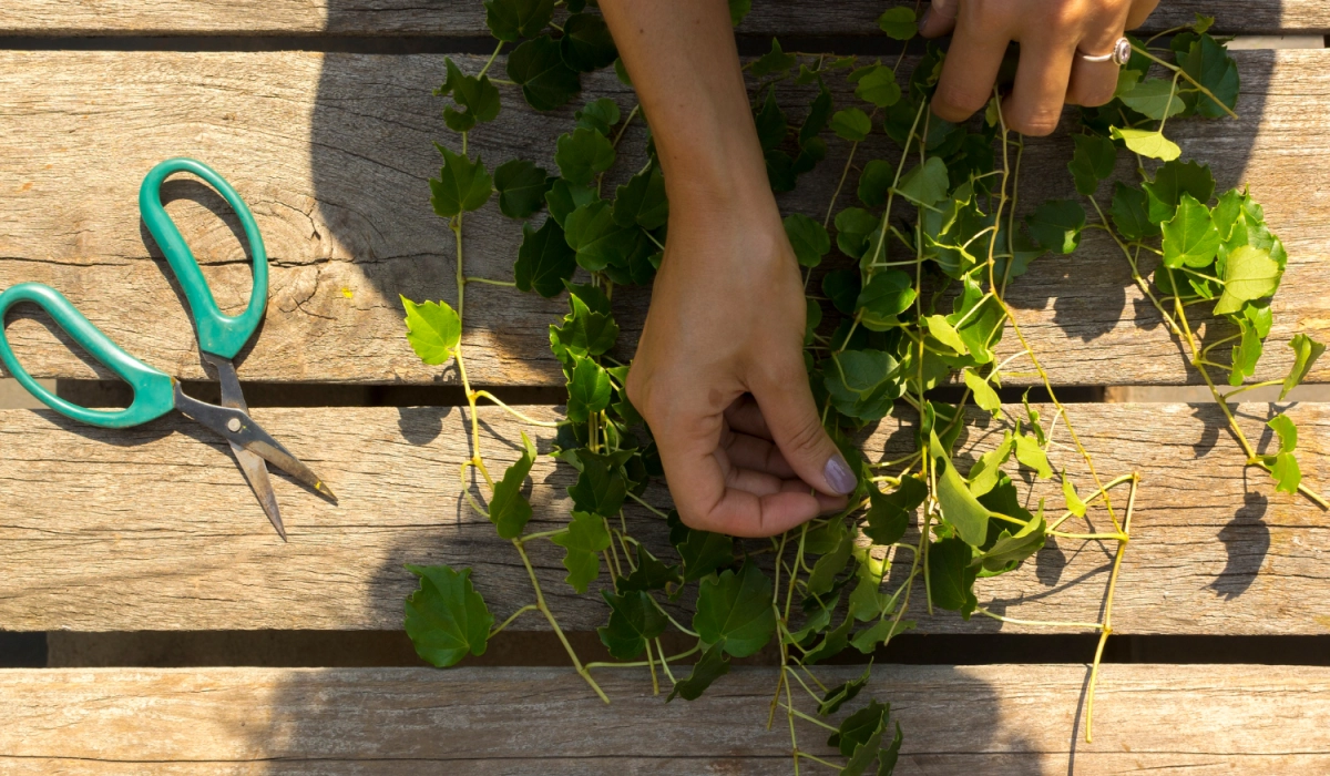 Безопасность без мифов: чем детские ножницы отличаются от взрослых