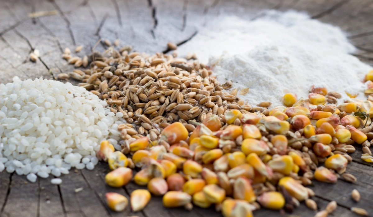 How to choose Petkus sieves for different grain crops