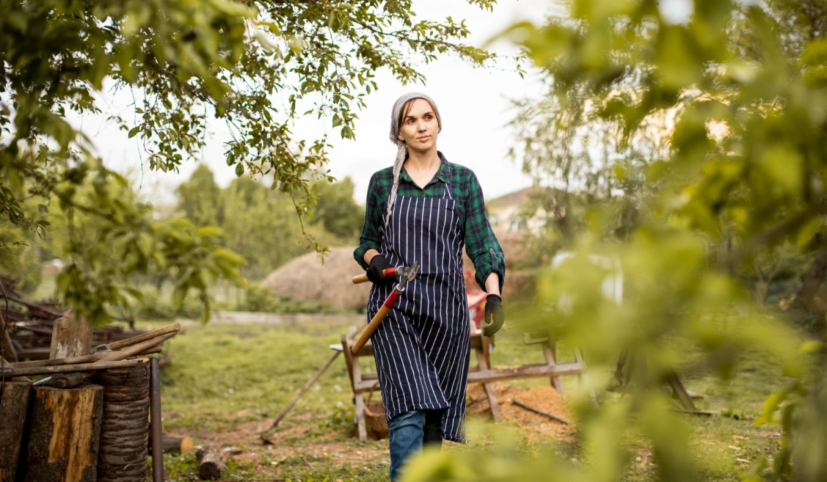 огород и сад в европейской деревне дом с участком зелёный ландшафт