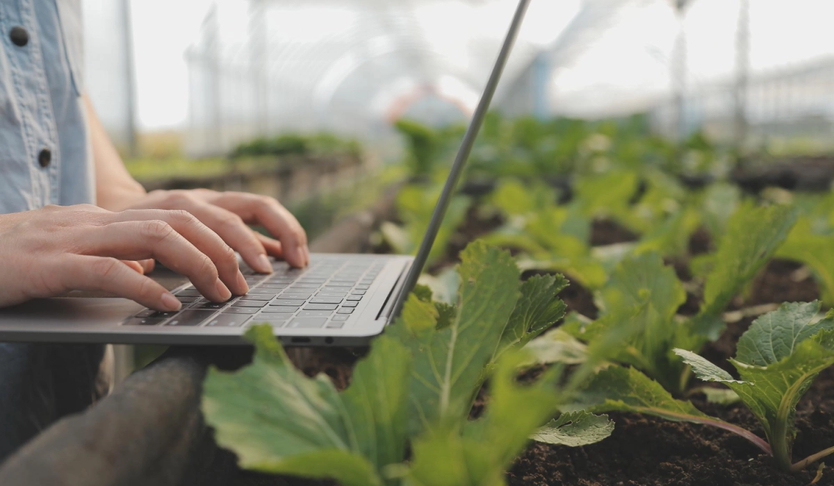 Почему автоматизация учета — это стратегическое преимущество для малого ФХ?