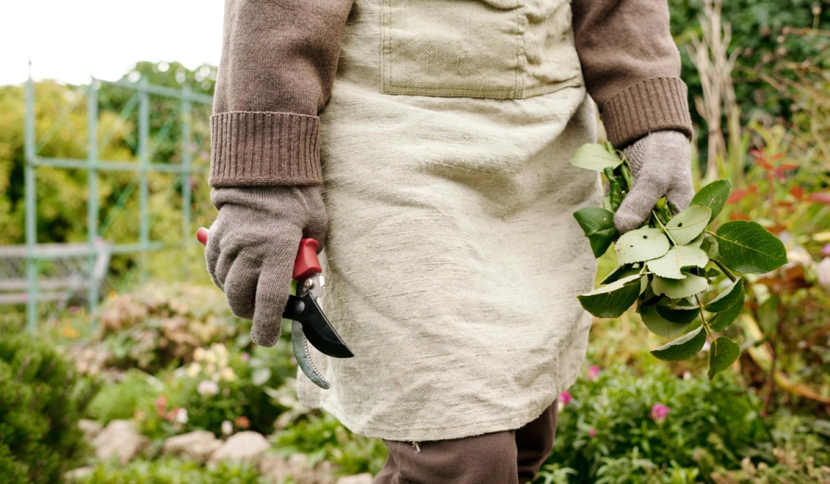 Какие режимы стирки удобны для одежды после работы с землей, рассадой и удобрениями