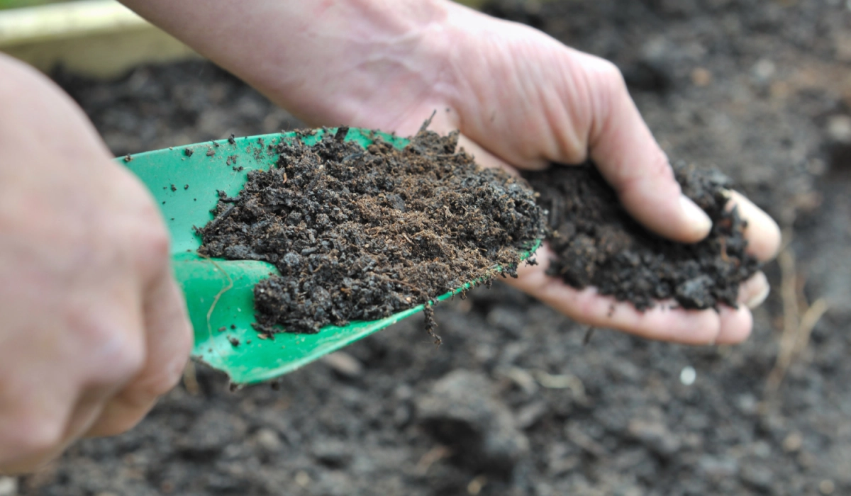 Как сделать землю плодородной - почвоулучшители
