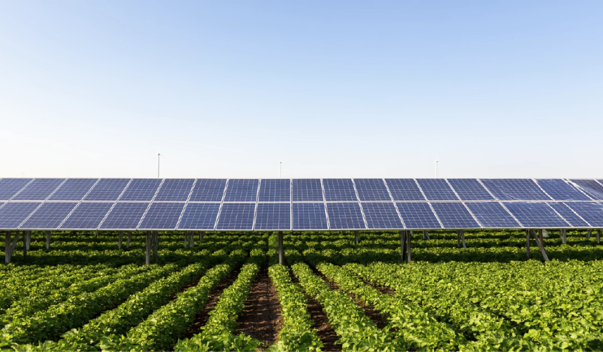 Развитие агровольтаики в Украине