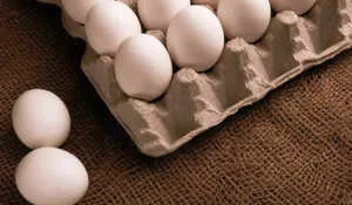 Куриные яйца в лотке как иллюстрация к обязательной маркировке даты производства и срока годности