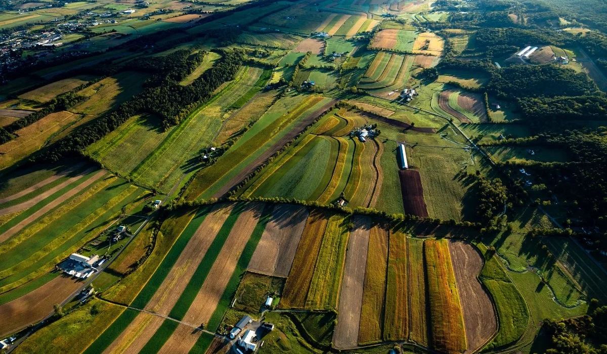 Сельхозугодья Пенсильвании, рассматриваемые как модель региональной агрополитики