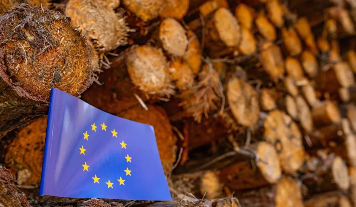 Вырубка леса и подготовка земель, контекст регулирования EUDR