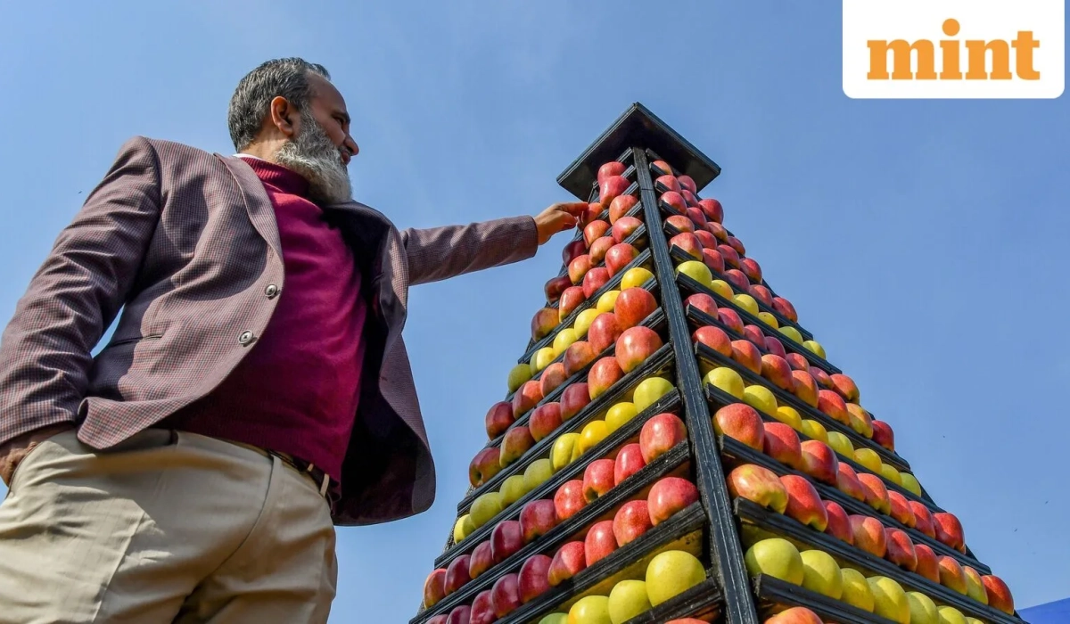 Яблоки из Кашмира на агровыставке в Сринагаре