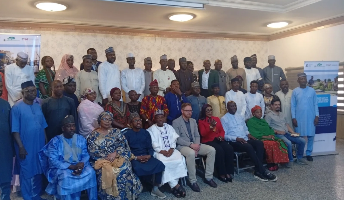 Участники workshop по экспортному соответствию для сезама и вигны в Кано