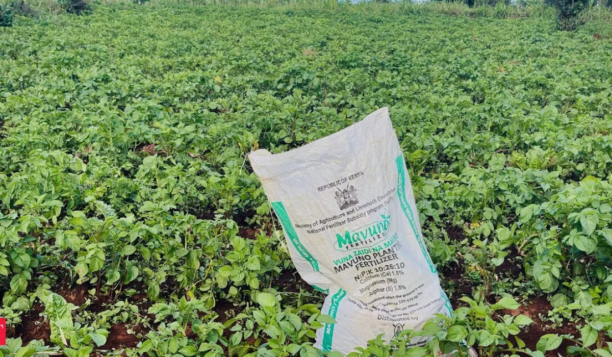 Китай ужесточил проверки экспорта удобрений на фоне скачка мировых цен