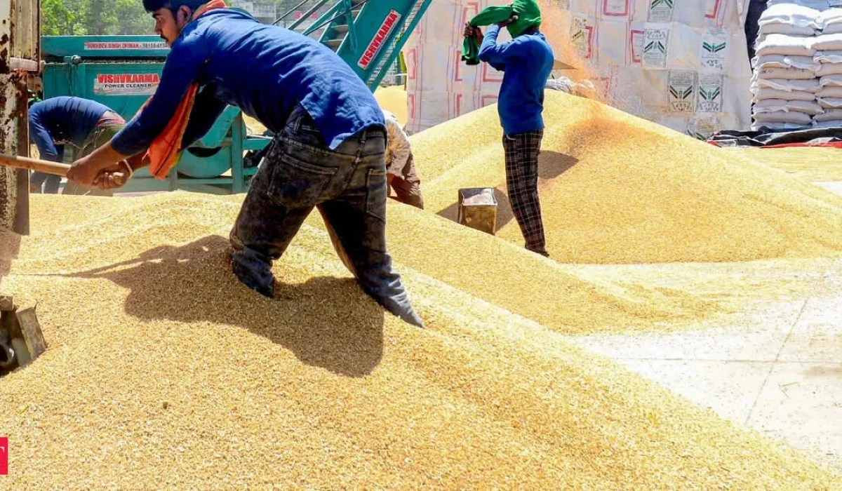 Индия разрешила дополнительный экспорт 2,5 млн тонн пшеницы на фоне сильного урожая
