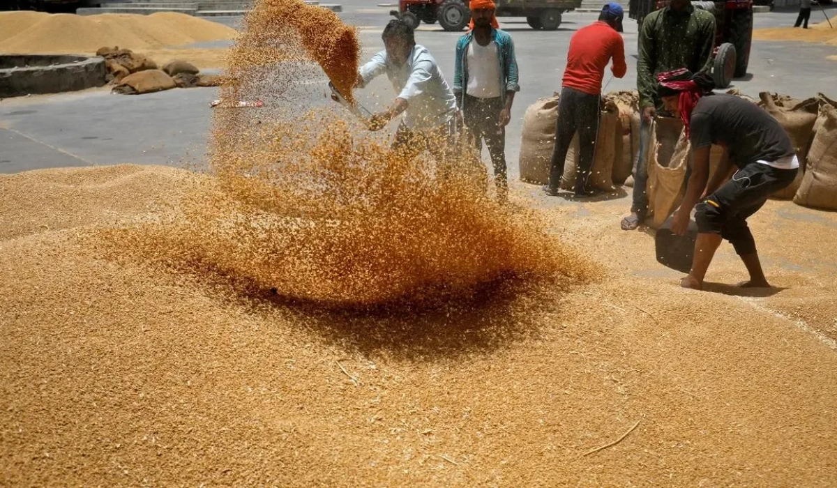 USDA ожидает экспорт пшеницы из Индии на уровне 2 млн тонн