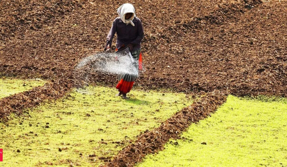 Индия готовит привязку продаж удобрений к AgriStack для точного контроля субсидий