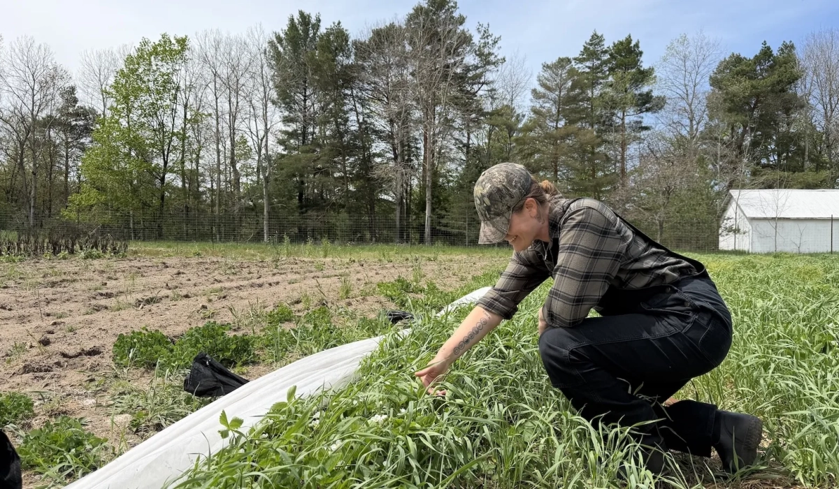 Студентка фермерской программы на участке Great Lakes Incubator Farm в Мичигане