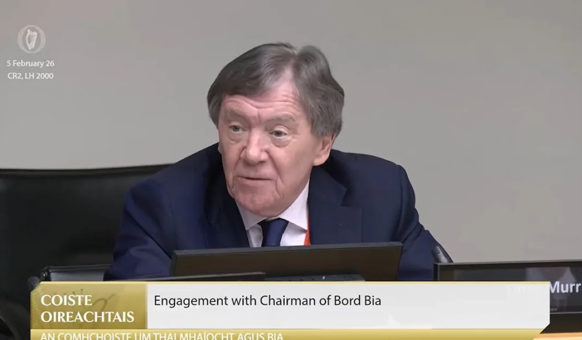 Проверка управления Bord Bia поддержала председателя на фоне спора из-за бразильской говядины