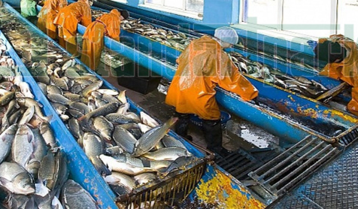 Очистные сооружения: особенности применения в быту и на предприятиях