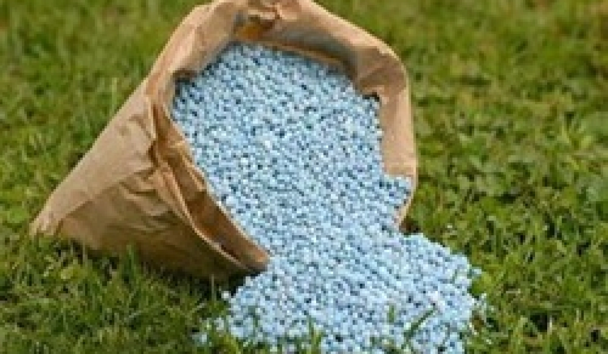 Минеральные удобрения: польза или вред?