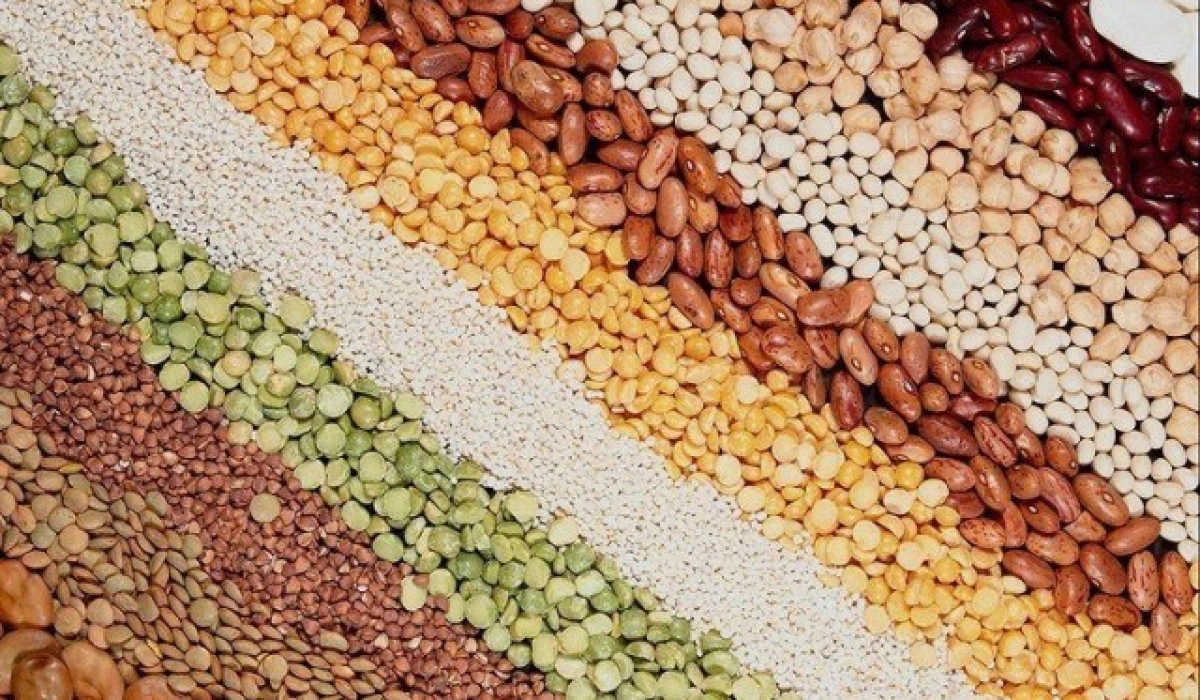 Покупка семян