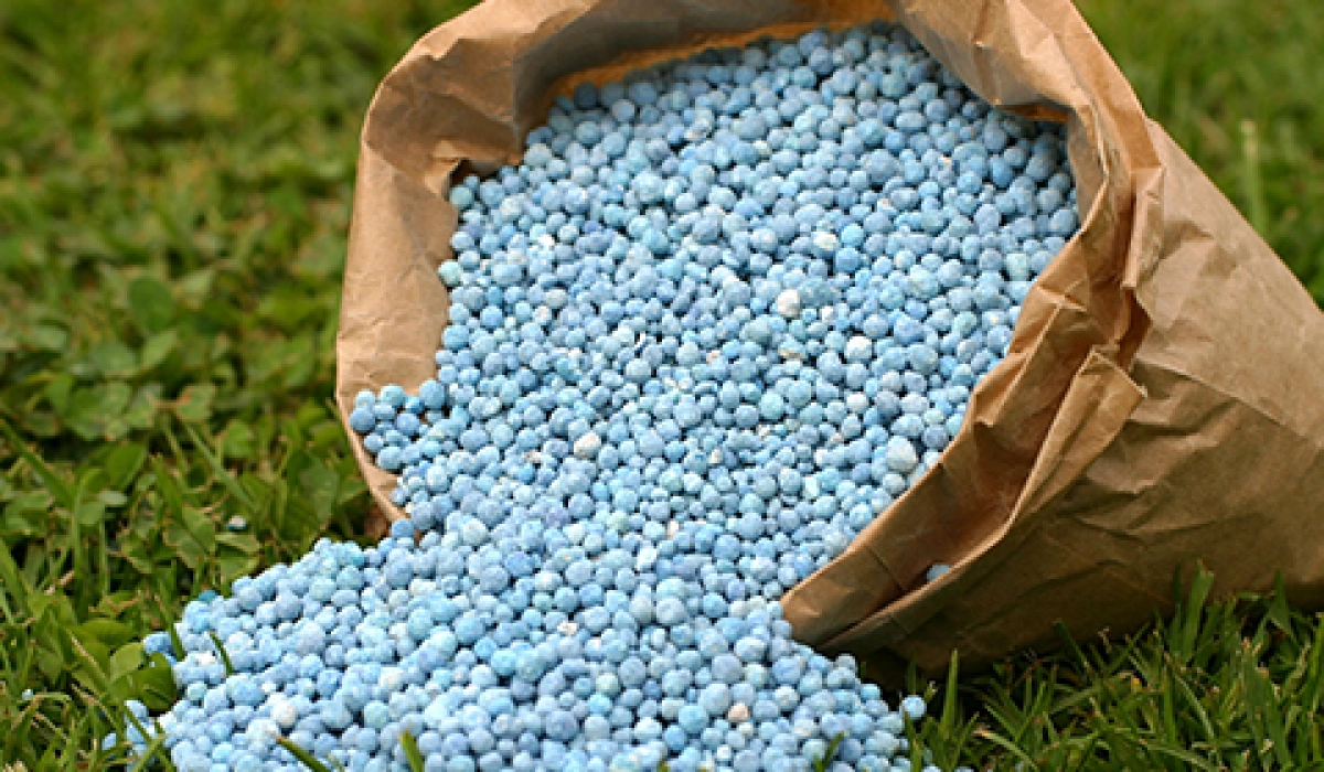 Удобрения для газона в ассортименте компании «Украинские газоны»