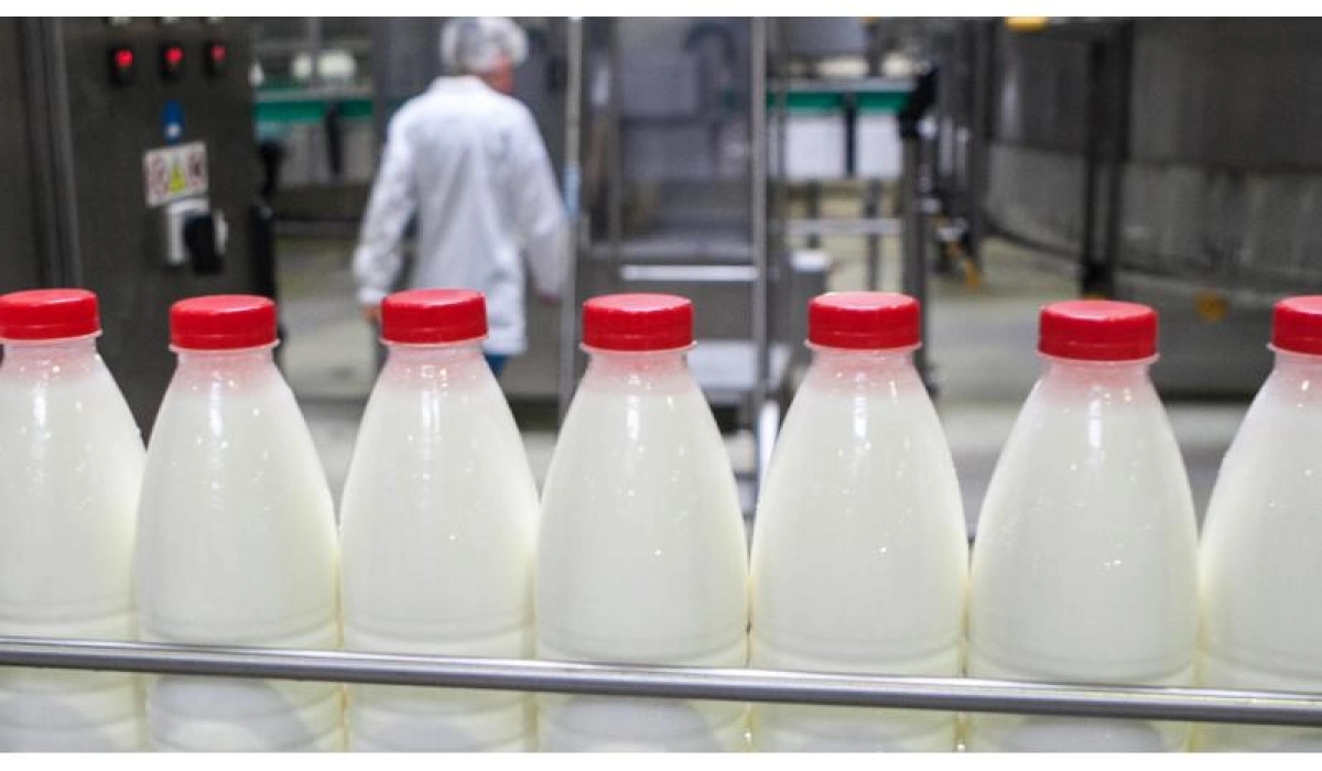 Сыворотка сухая подсырная от производителя