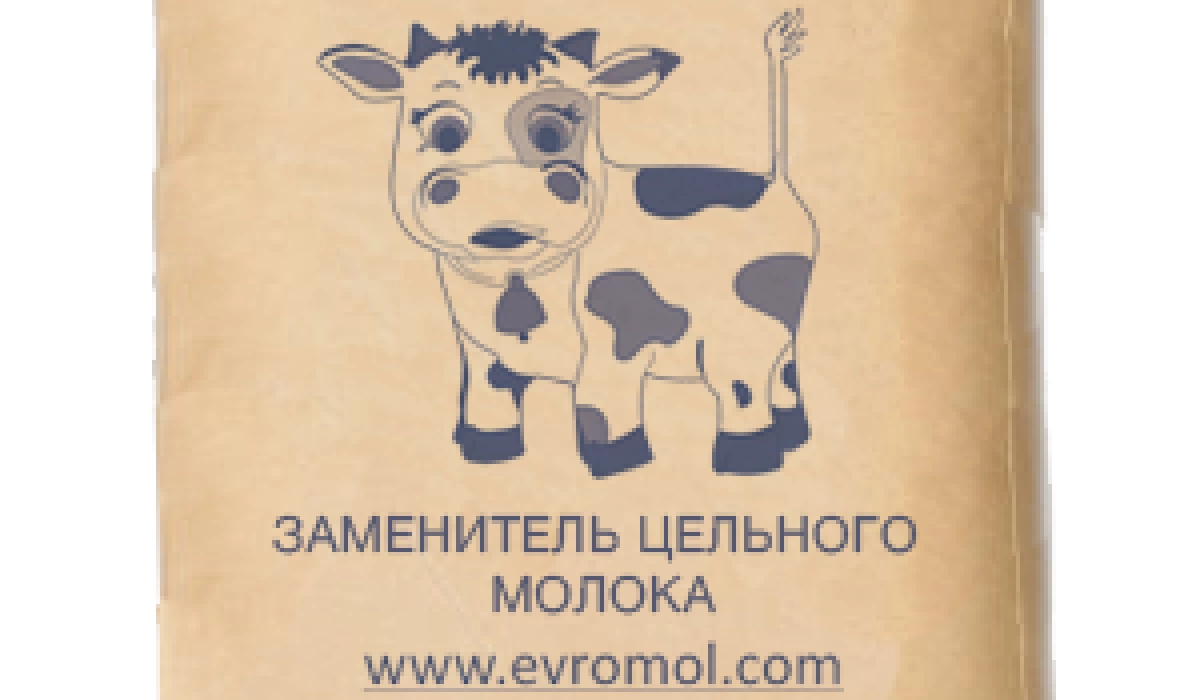 Сыворотка сухая: особенности применения и производства